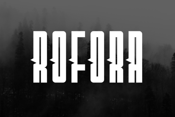 Rofora: Modern Simplicity for Polished Design Projects